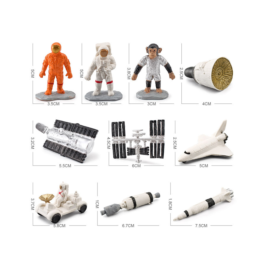 Figurines réalistes d'organes  - Kids Toys Egypt avis et prix